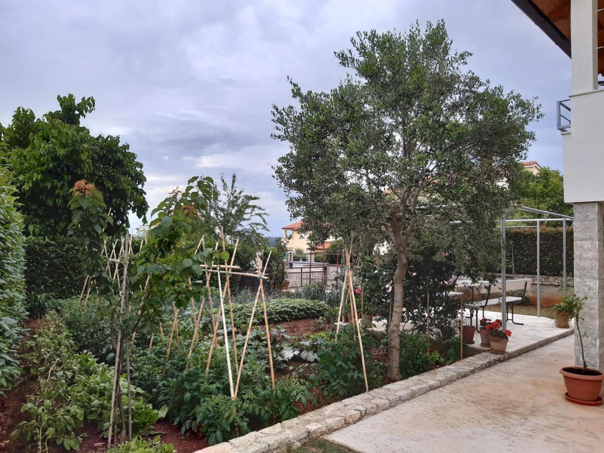 Apartment Thea Πούλα Εξωτερικό φωτογραφία